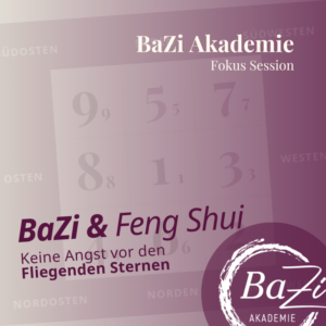 Fokus Session: VIP - Fliegende Sterne